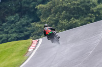 PJ-Motorsport-Photography-2020;anglesey;brands-hatch;cadwell-park;croft;donington-park;enduro-digital-images;event-digital-images;eventdigitalimages;mallory;no-limits;oulton-park;peter-wileman-photography;racing-digital-images;silverstone;snetterton;trackday-digital-images;trackday-photos;vmcc-banbury-run;welsh-2-day-enduro